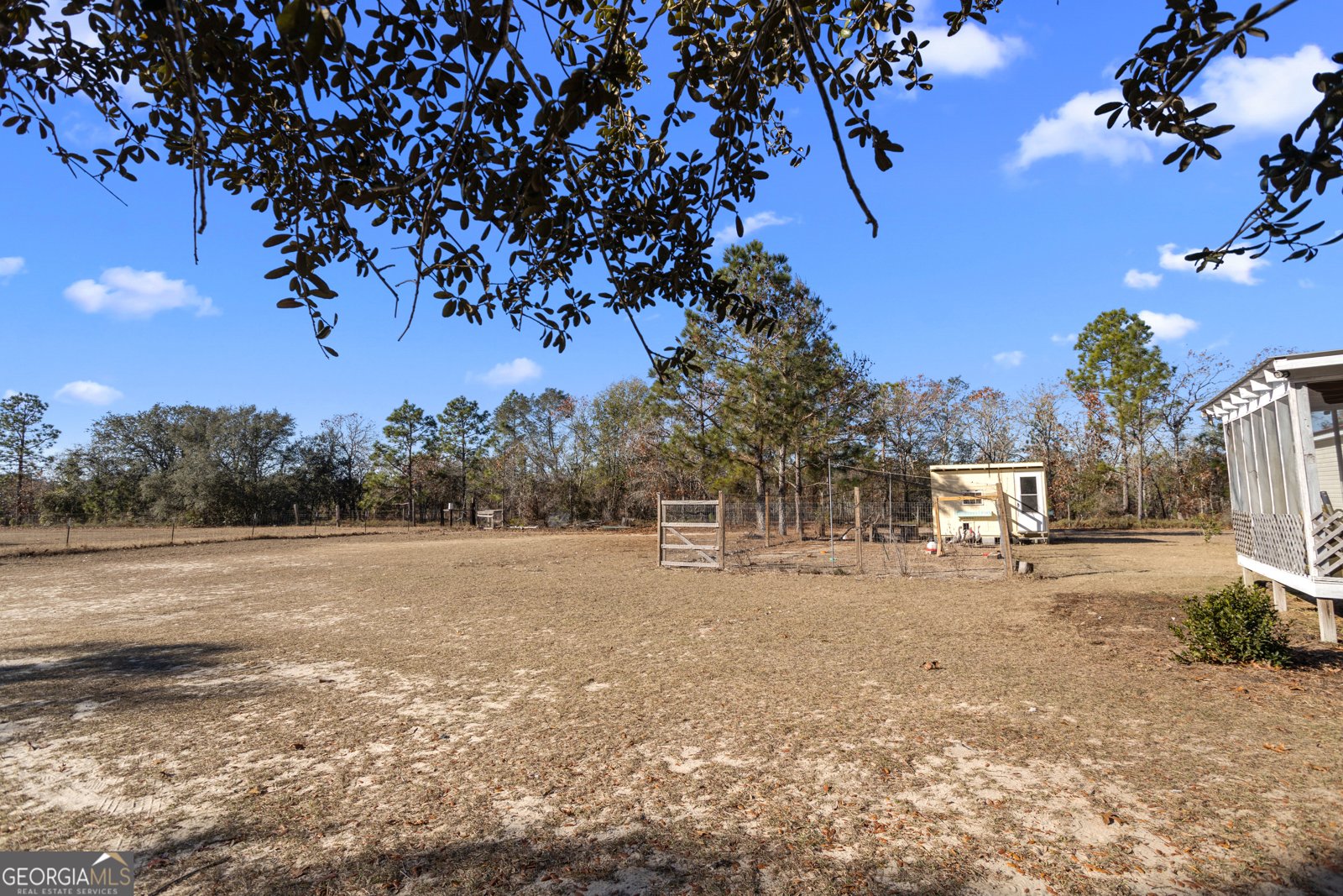 585 Brangus Lane Collins - 24