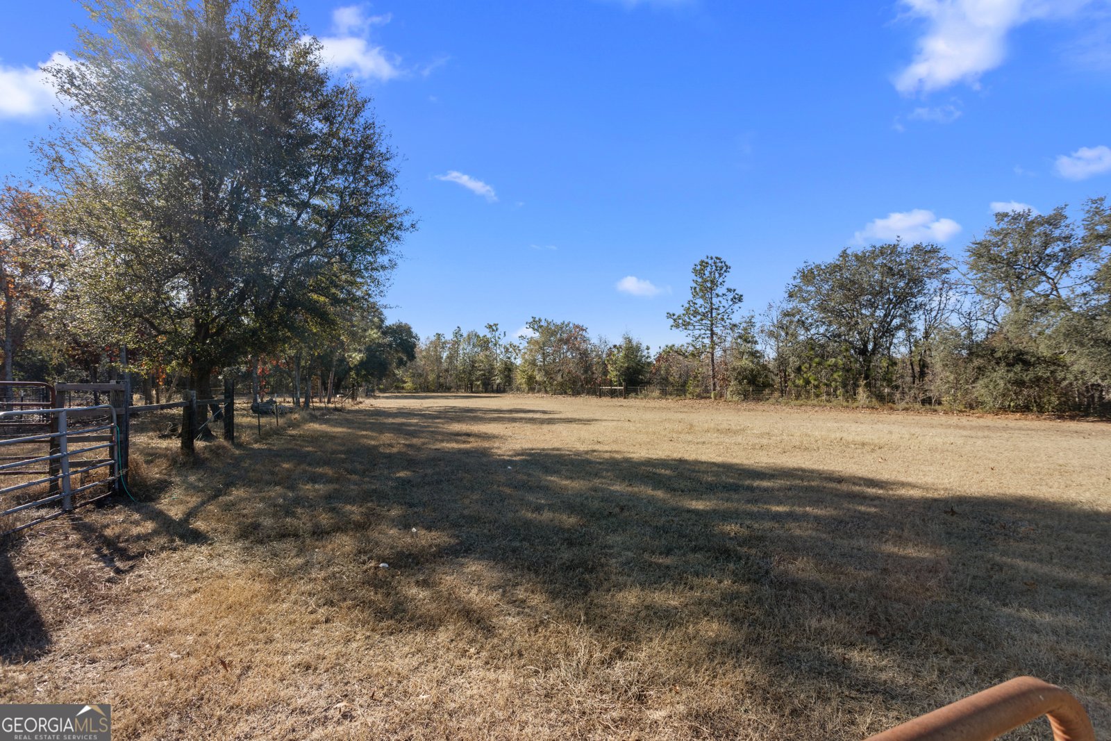 585 Brangus Lane Collins - 25