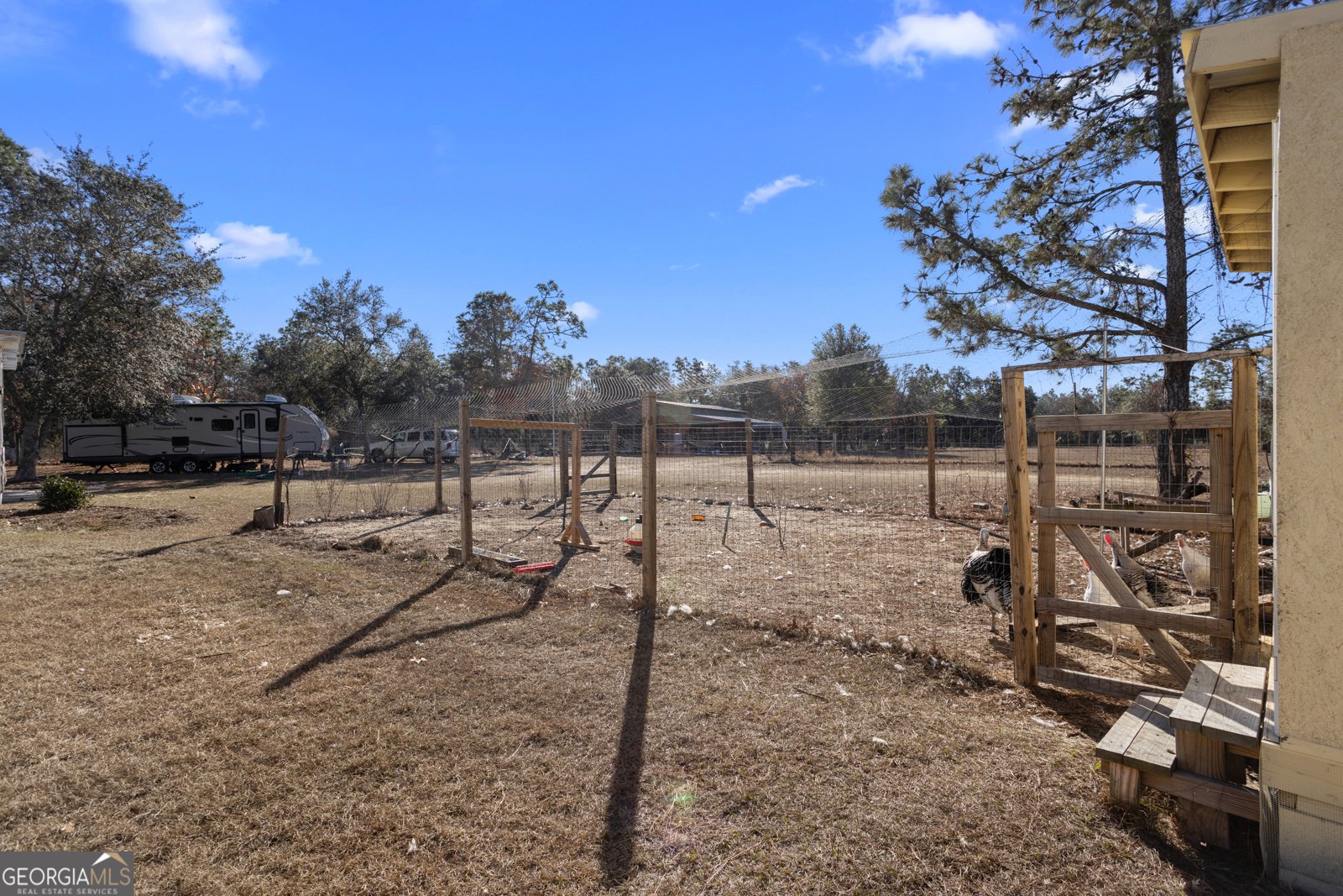 585 Brangus Lane Collins - 26