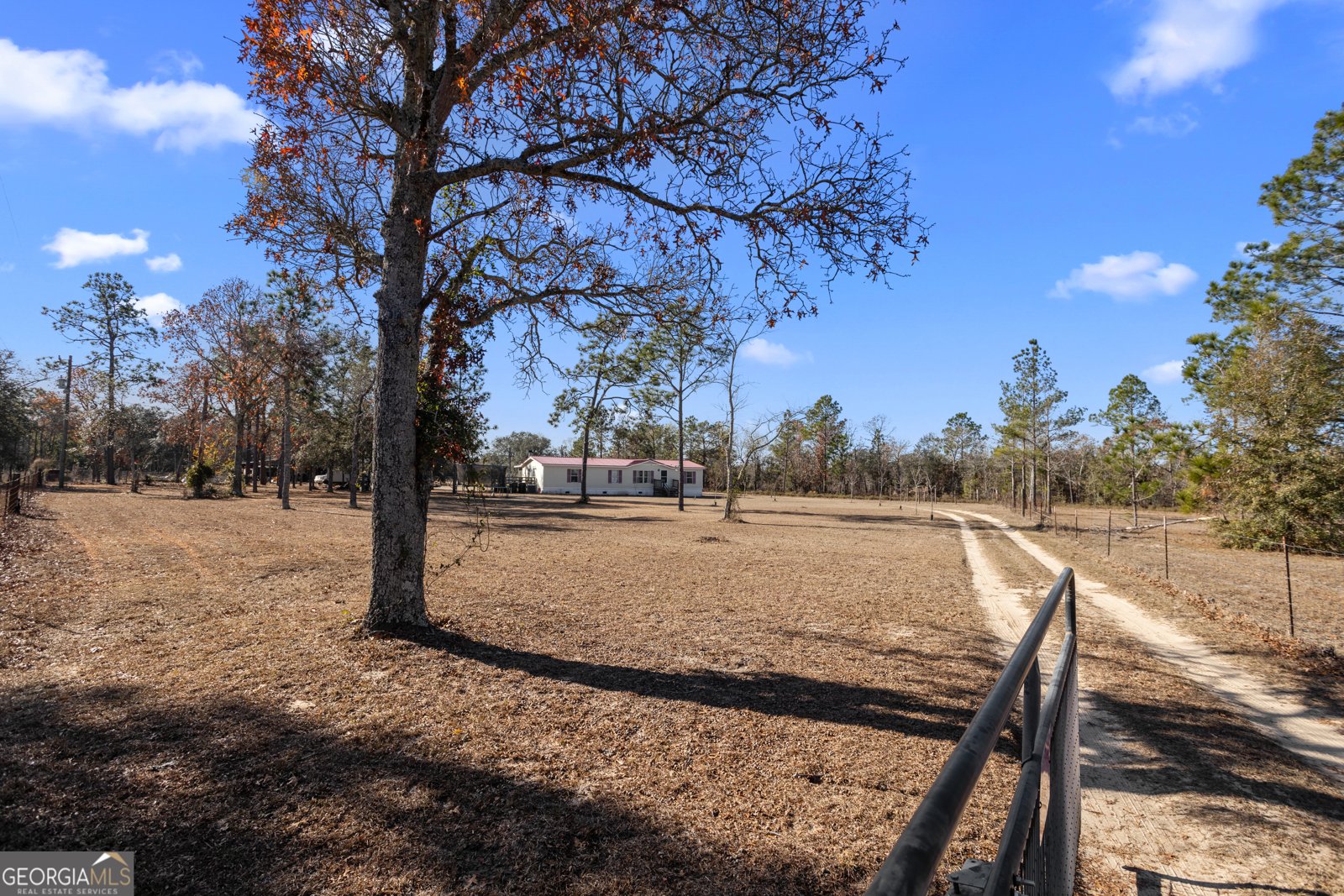 585 Brangus Lane Collins - 31