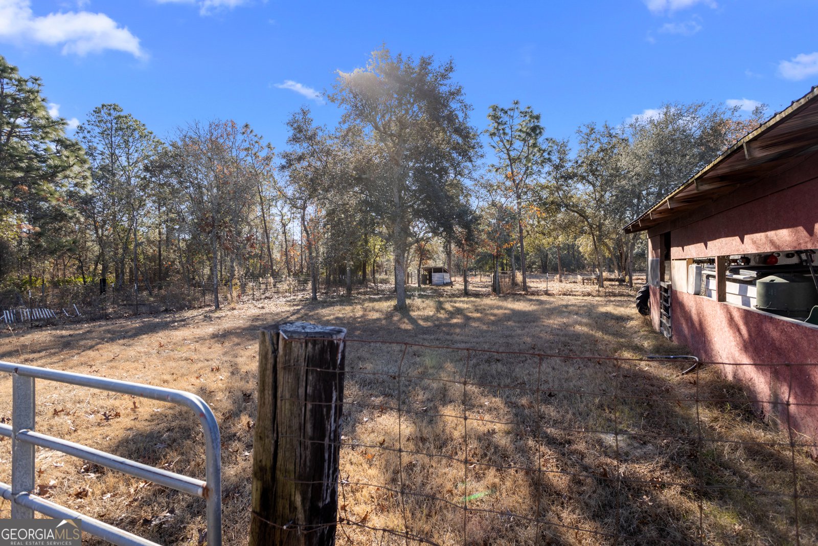 585 Brangus Lane Collins - 37