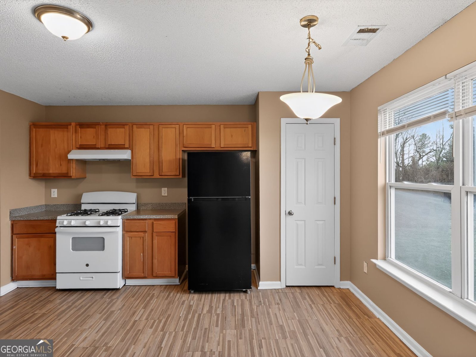 5301 Cattail Lane South Fulton - 11