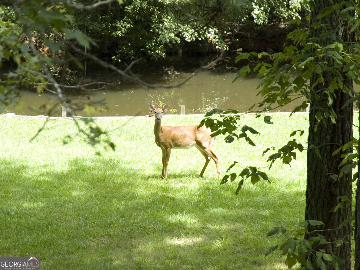 2316 Emerald Drive Jonesboro - 5