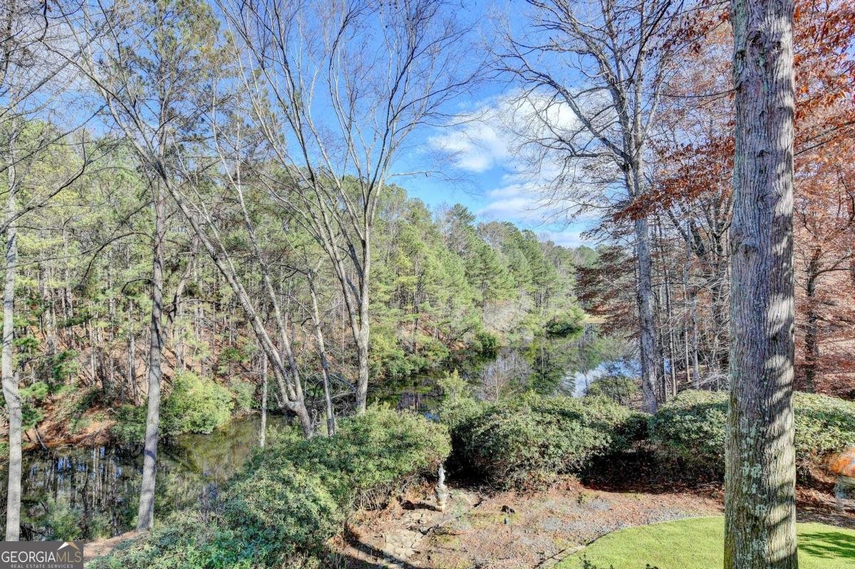 203 Southern Hill Drive Johns Creek - 68