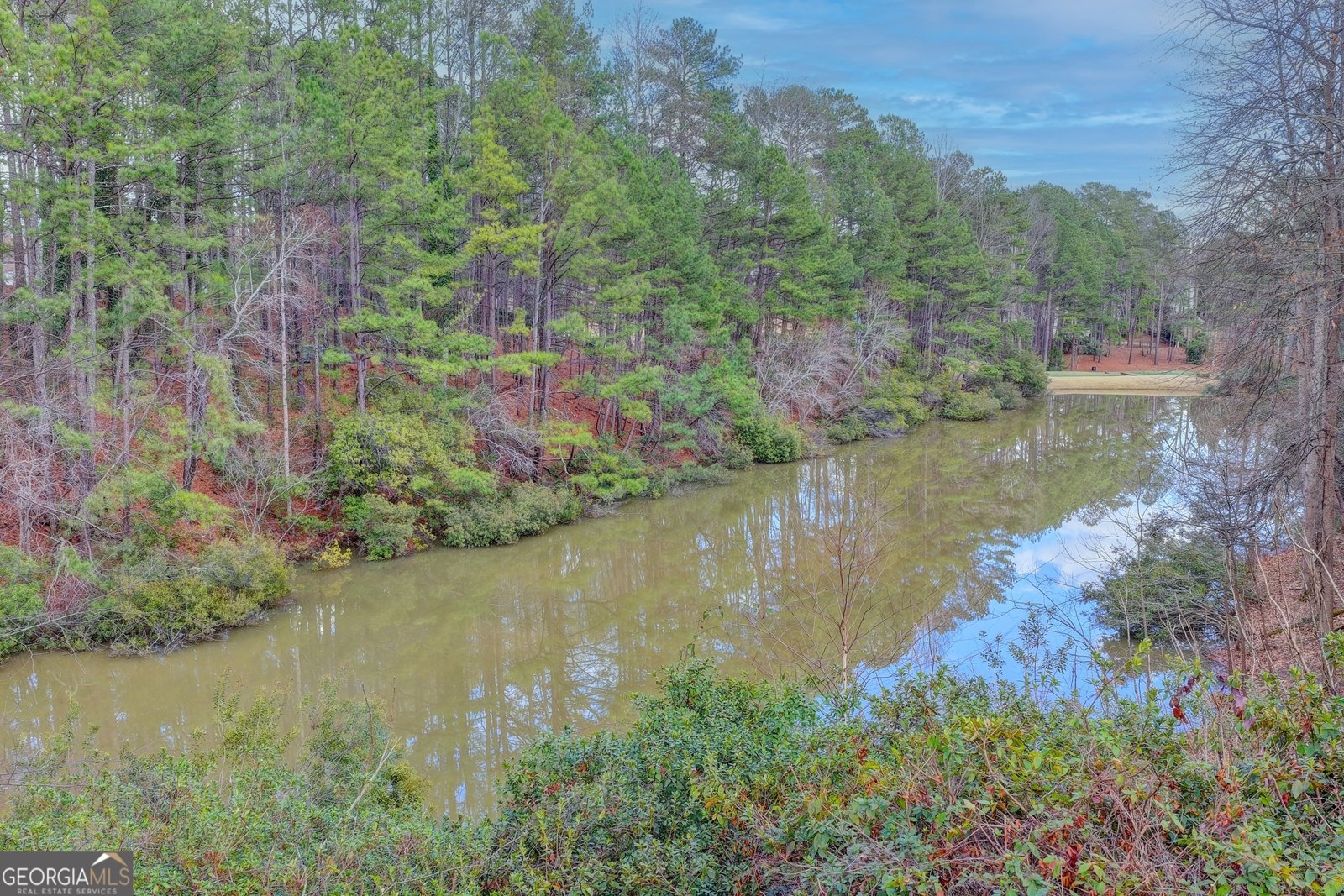 203 Southern Hill Drive Johns Creek - Photo 86