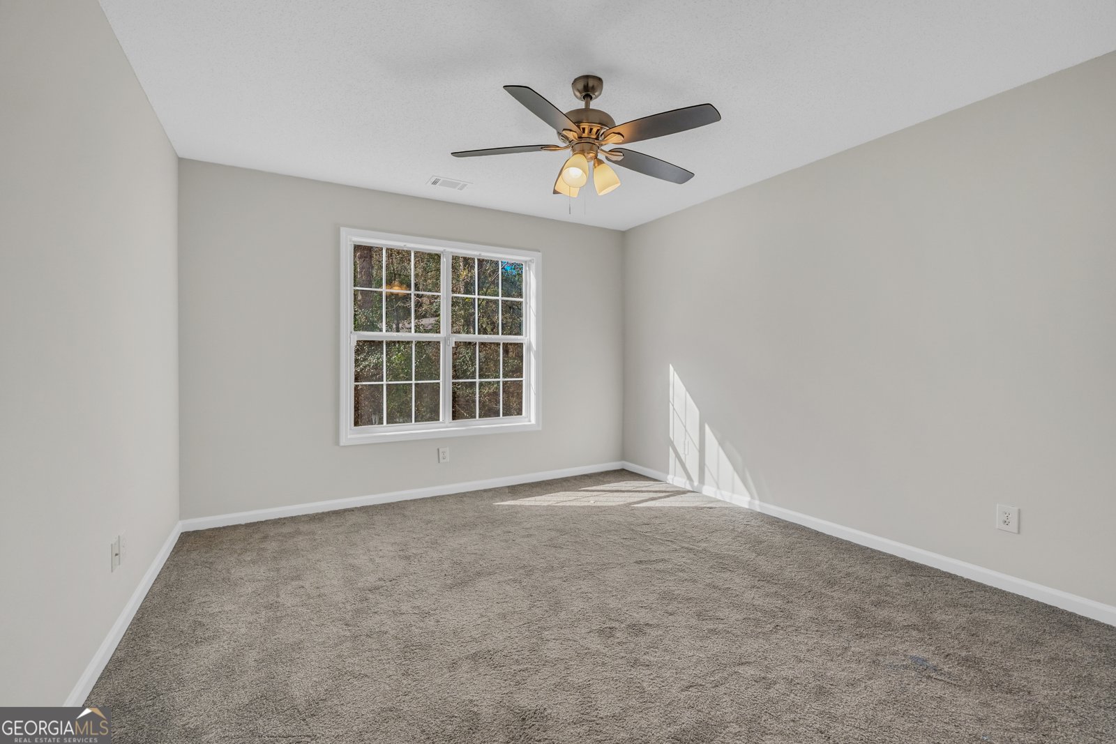 3026 Ryan Road Locust Grove - 28