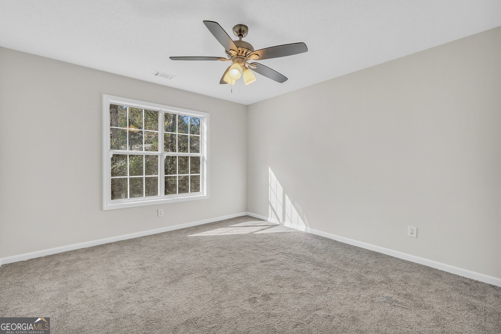 3026 Ryan Road Locust Grove - 29