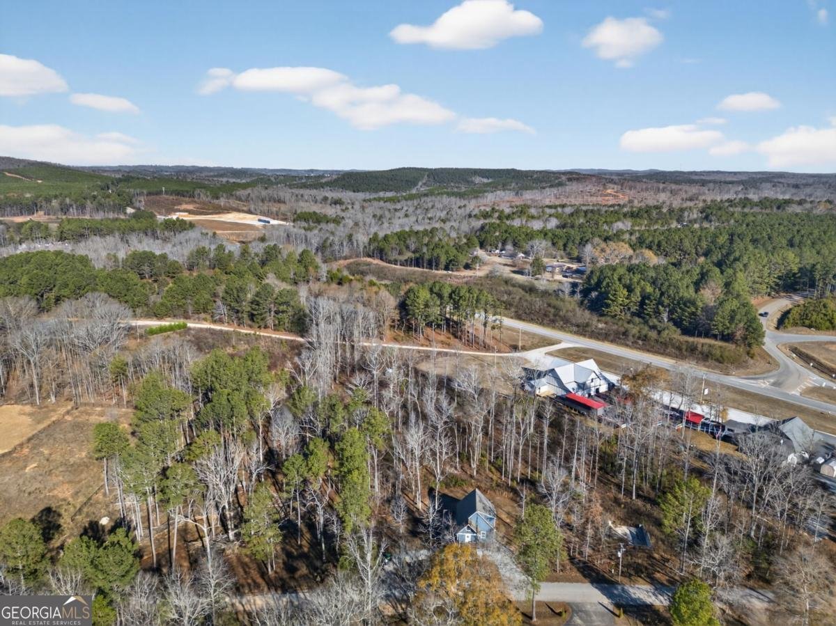 124 Jessica Drive Wedowee - 34