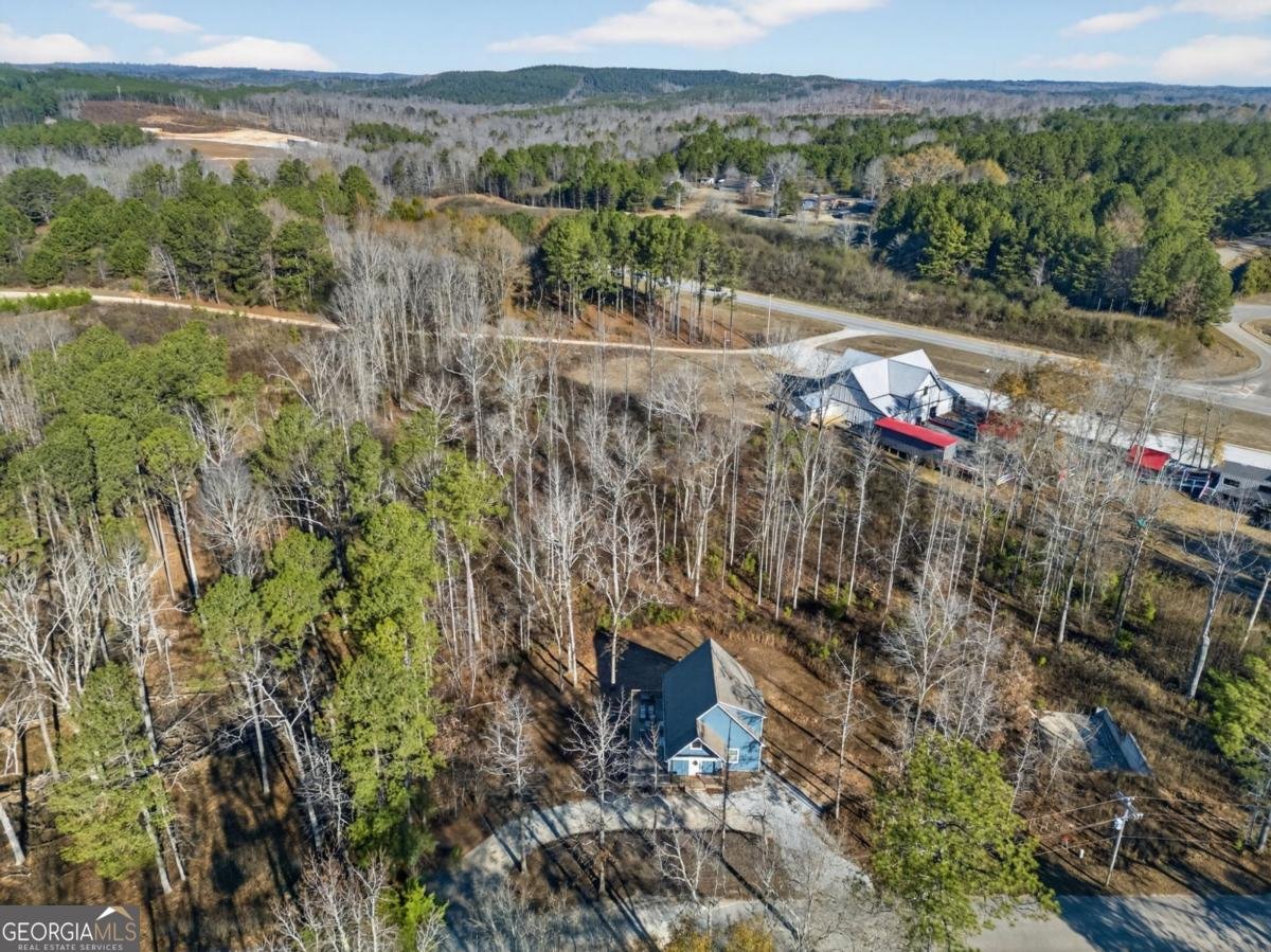 124 Jessica Drive Wedowee - 5