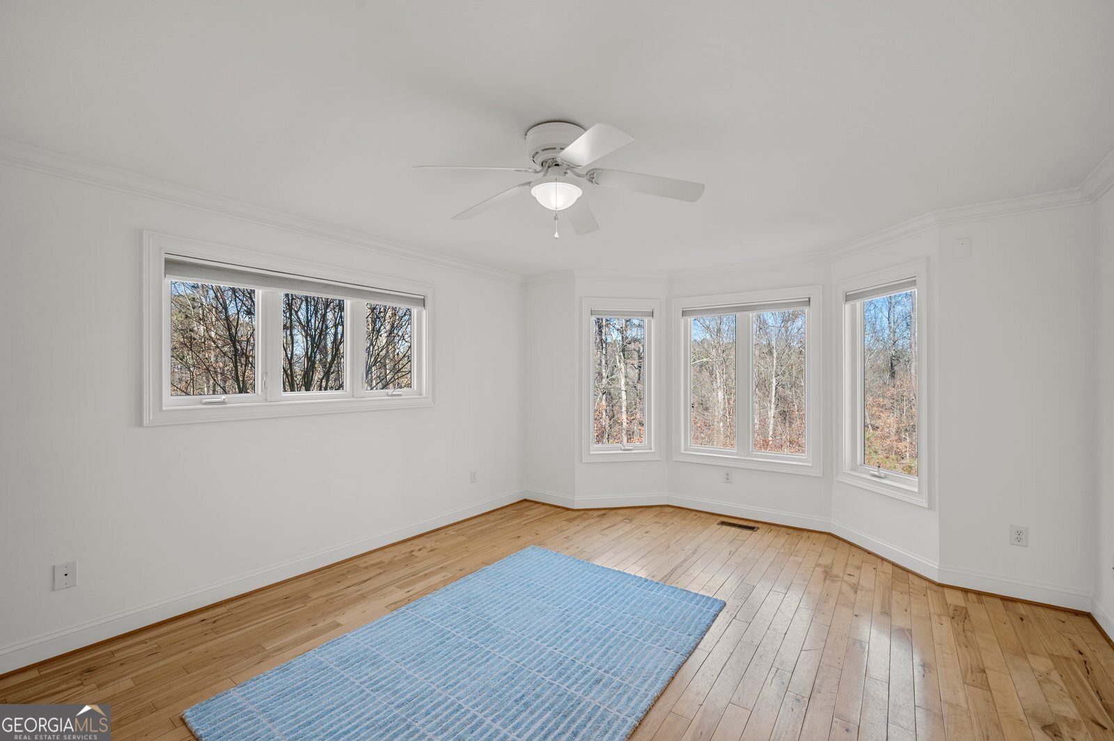 326 Seldom Seen Trail Canton - 13