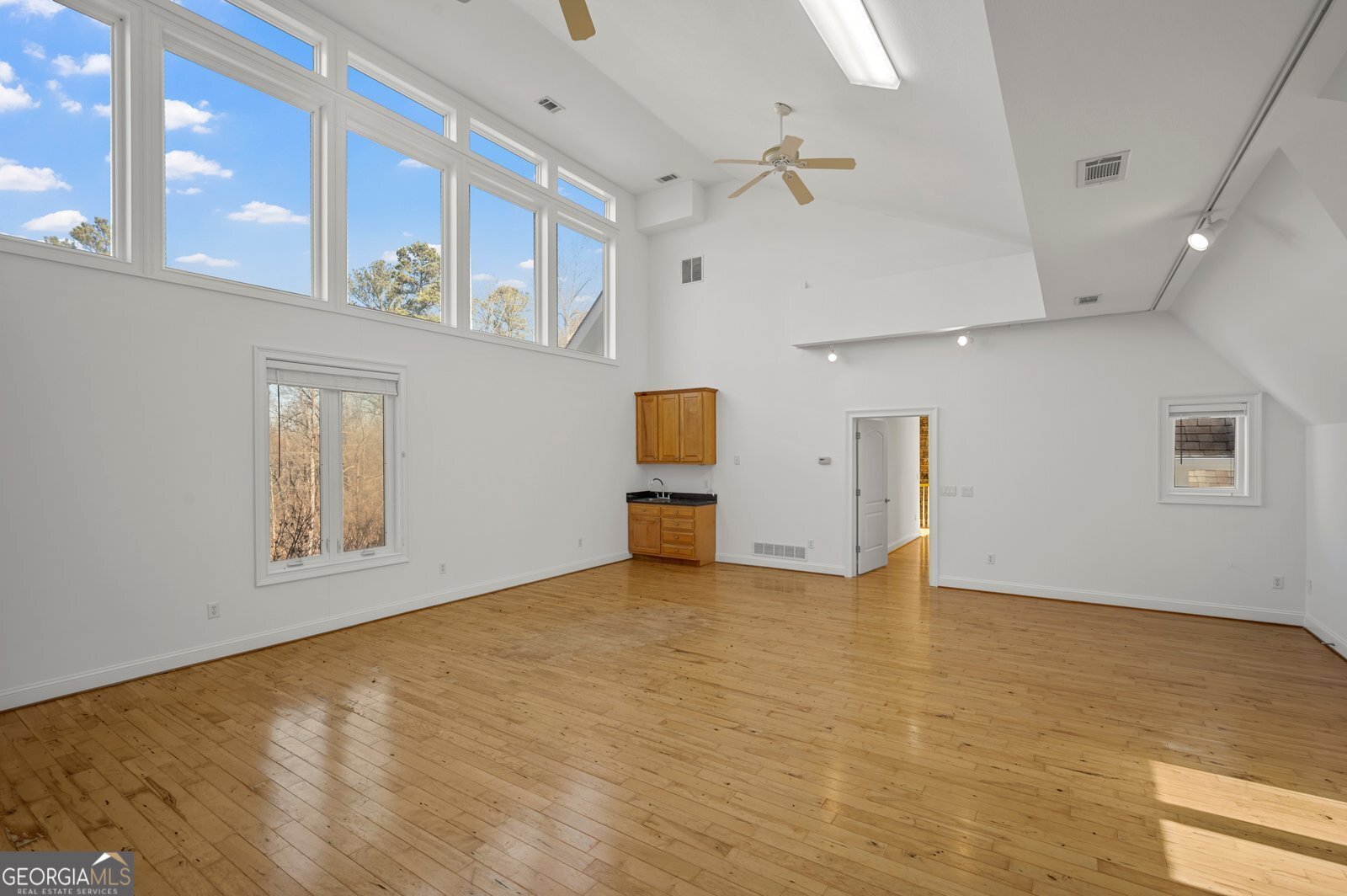 326 Seldom Seen Trail Canton - 4