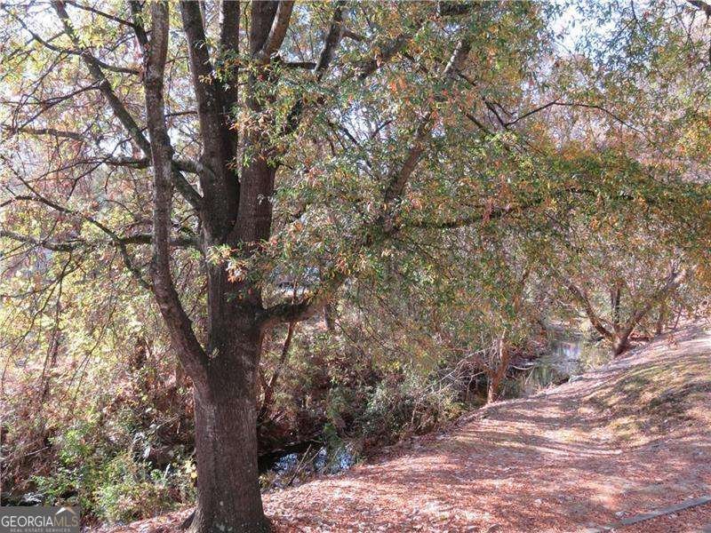 311 Peachtree Hills Avenue Atlanta - 5