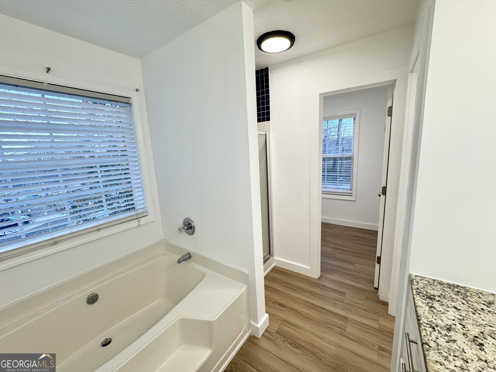 1071 Alcovy Road Lawrenceville - 17