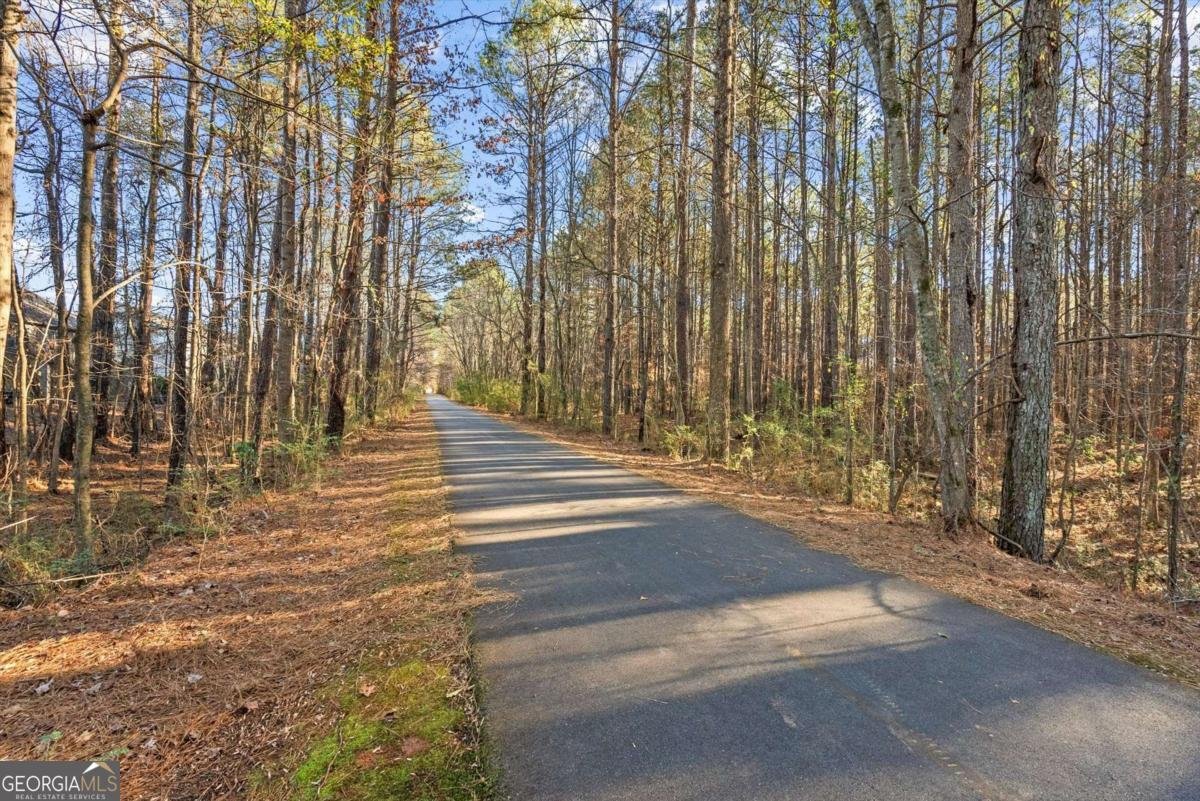 3385 Thornbridge Drive Powder Springs - 43