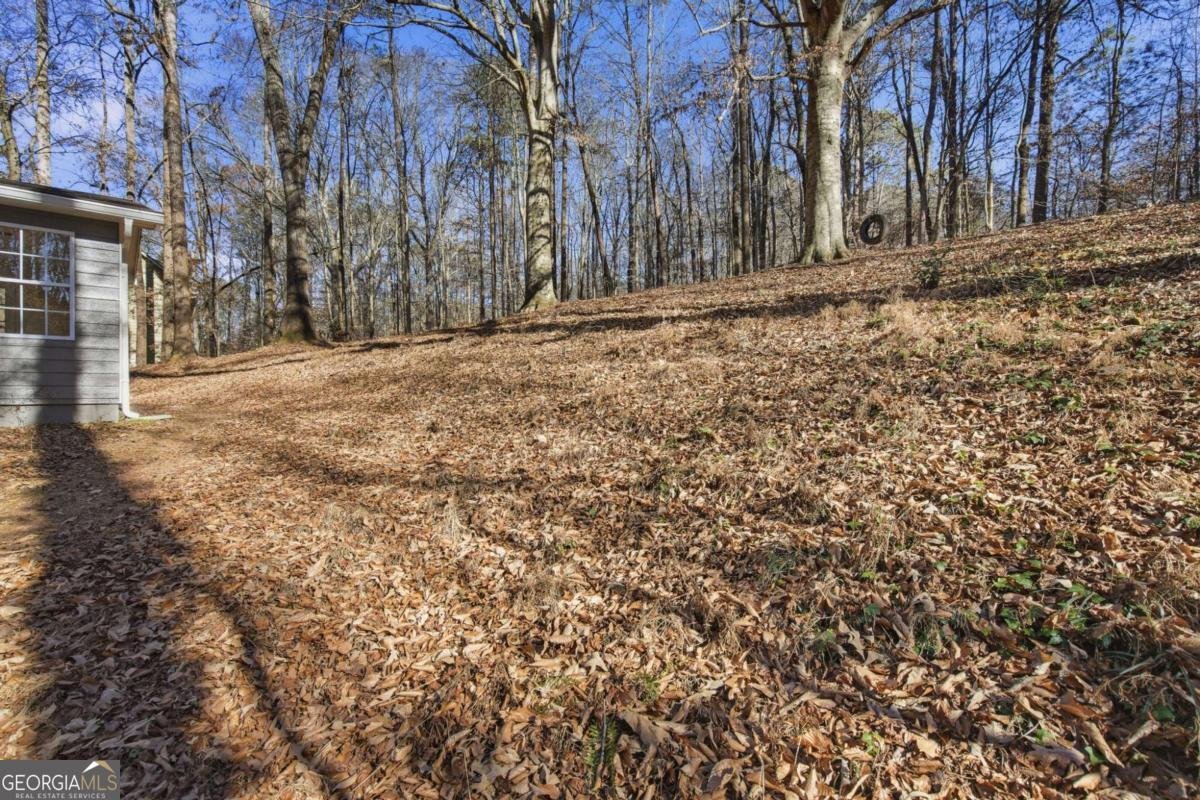 1480 White City Drive Canton - 28