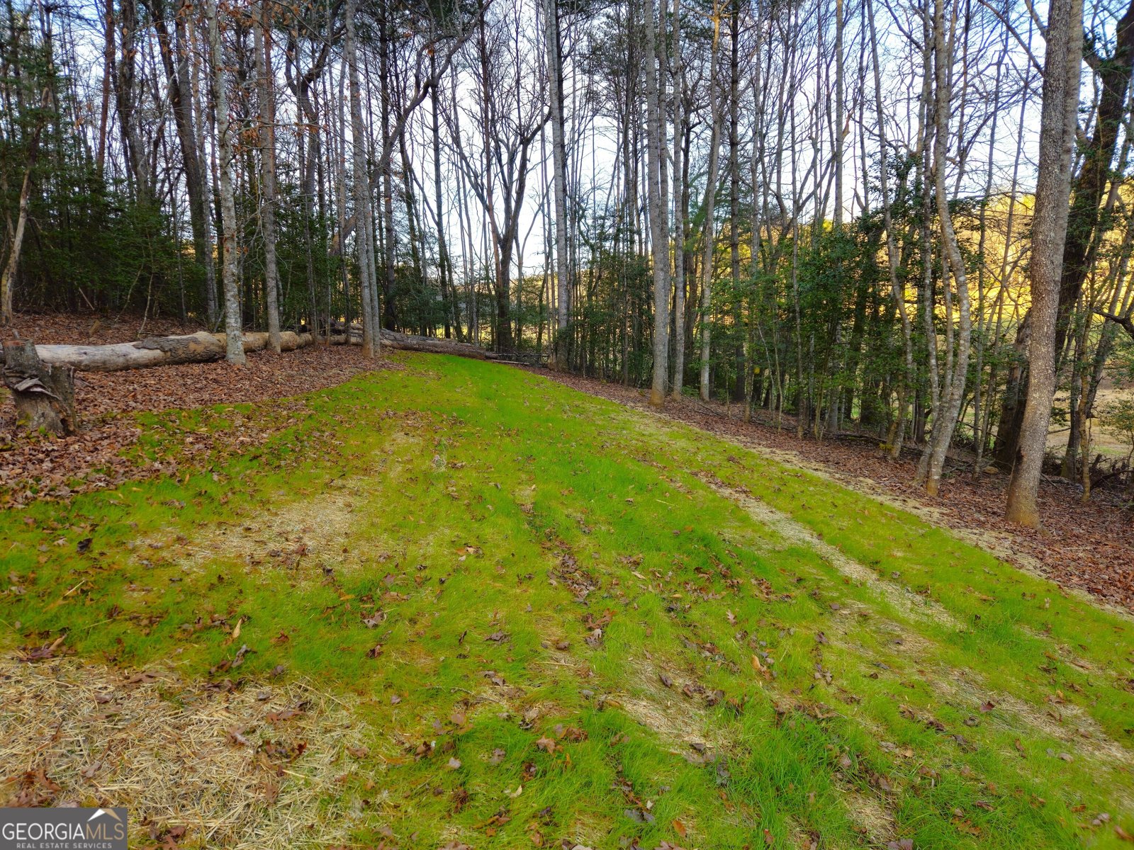 167 Happy Valley Lane Morganton - Photo 81