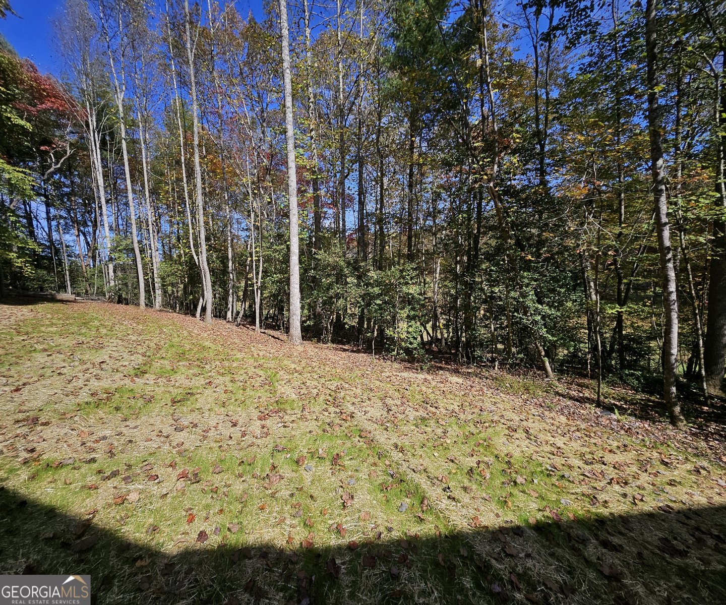 167 Happy Valley Lane Morganton - Photo 92