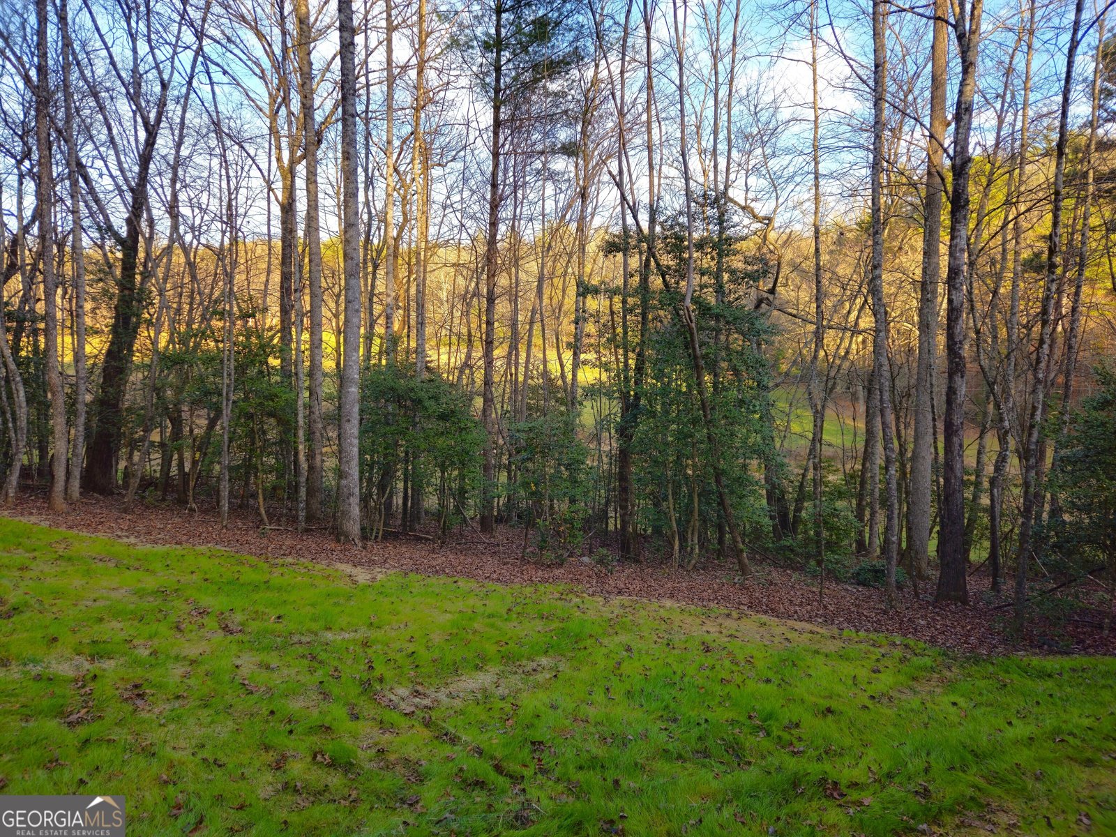 167 Happy Valley Lane Morganton - Photo 93