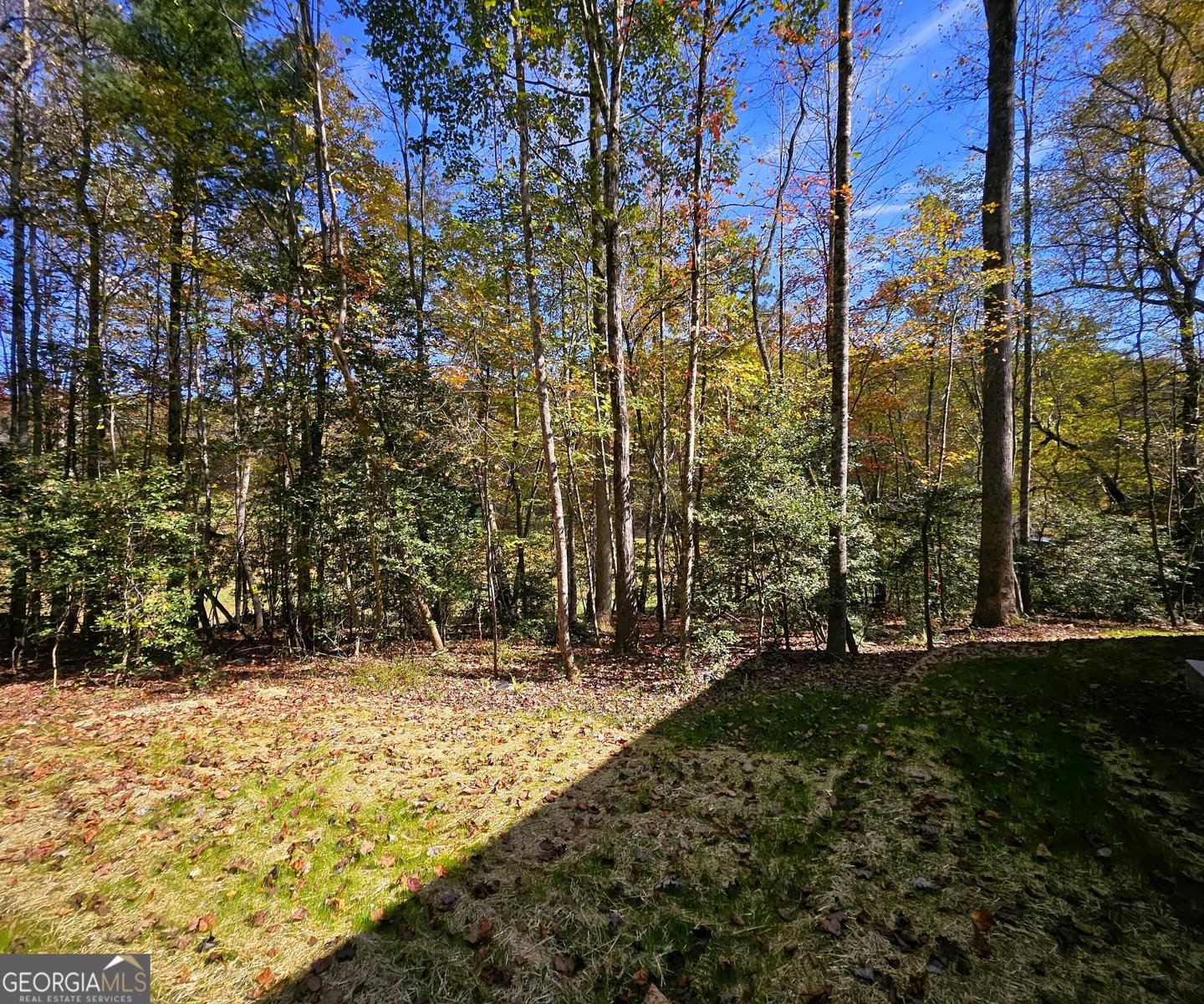 167 Happy Valley Lane Morganton - Photo 95