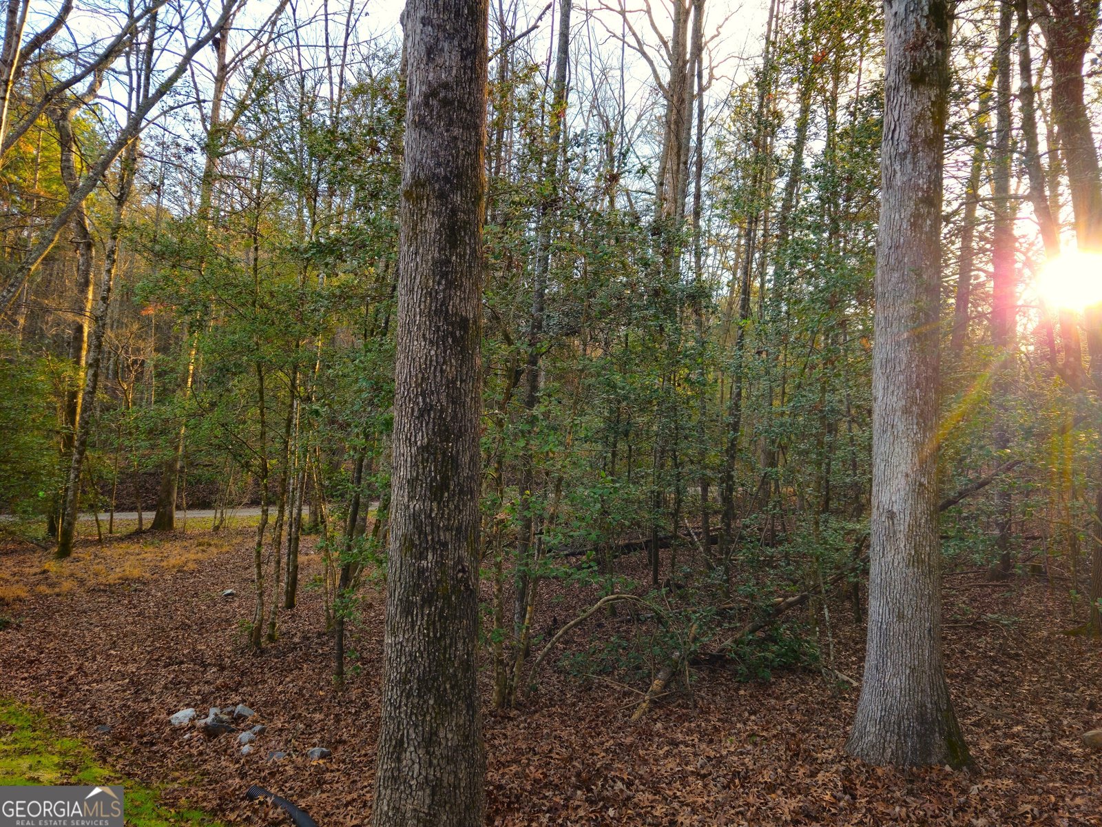 167 Happy Valley Lane Morganton - Photo 98