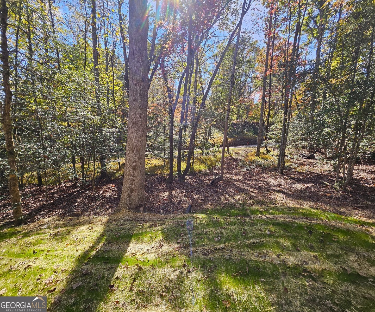 167 Happy Valley Lane Morganton - Photo 99