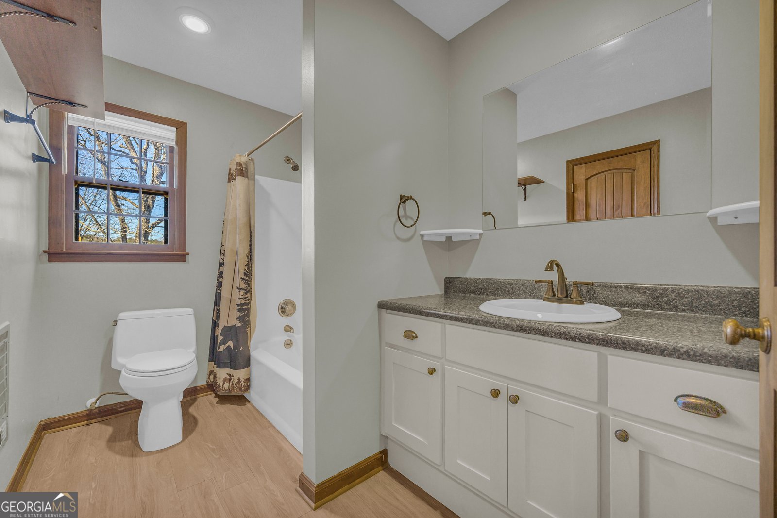 699 Cobblestone Lane Demorest - 34