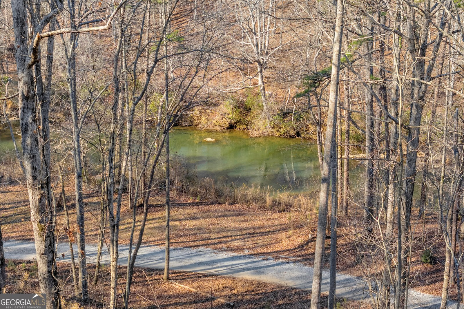 699 Cobblestone Lane Demorest - 5