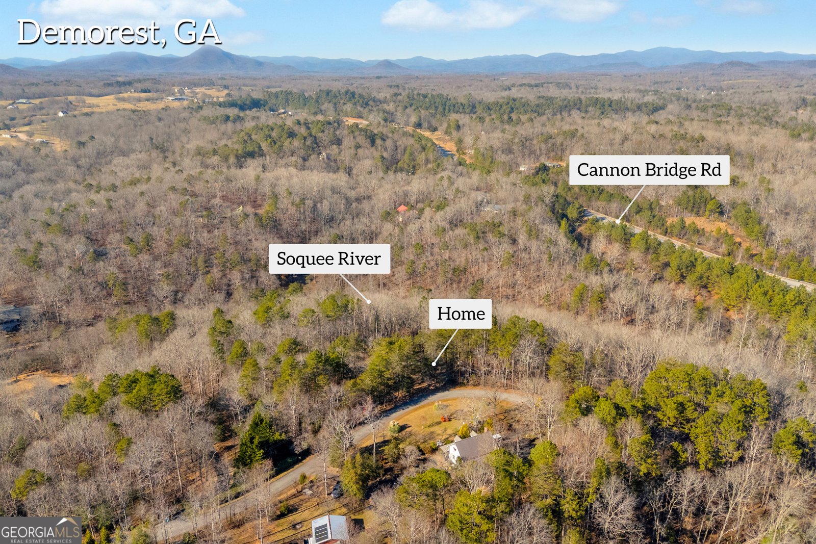 699 Cobblestone Lane Demorest - 66