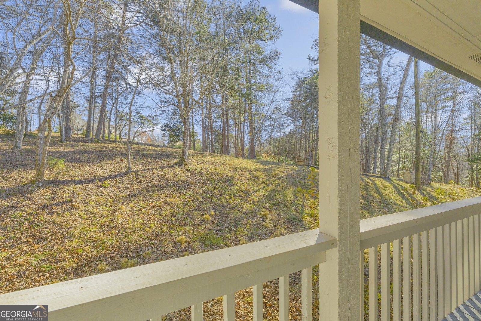 699 Cobblestone Lane Demorest - 69