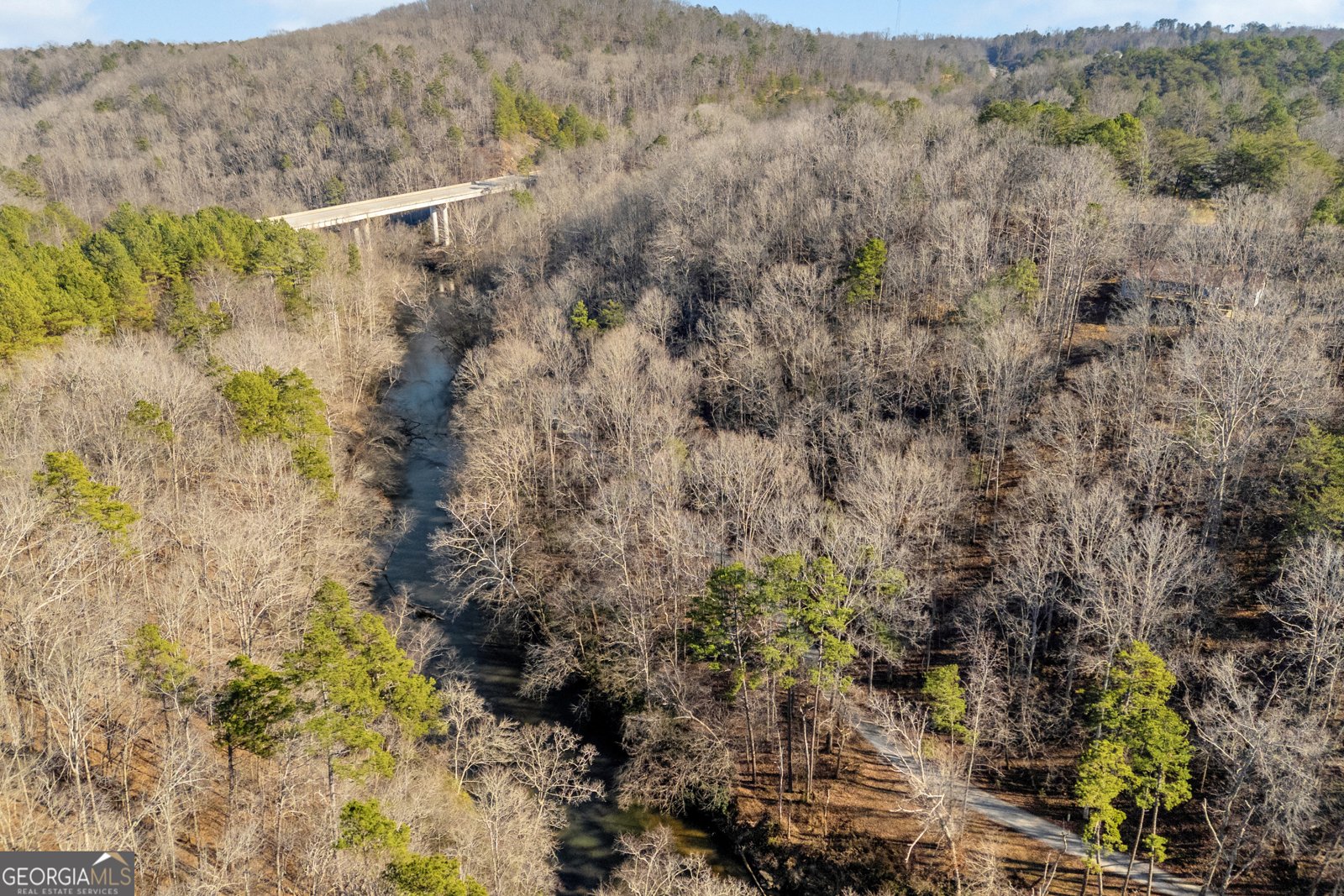 699 Cobblestone Lane Demorest - 73