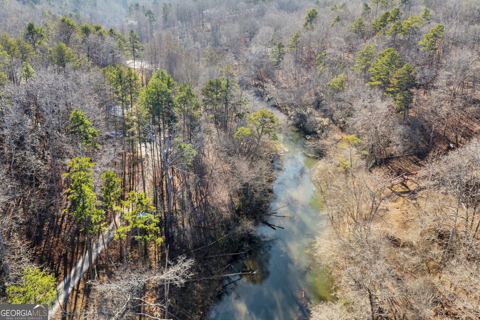 699 Cobblestone Lane Demorest - 74