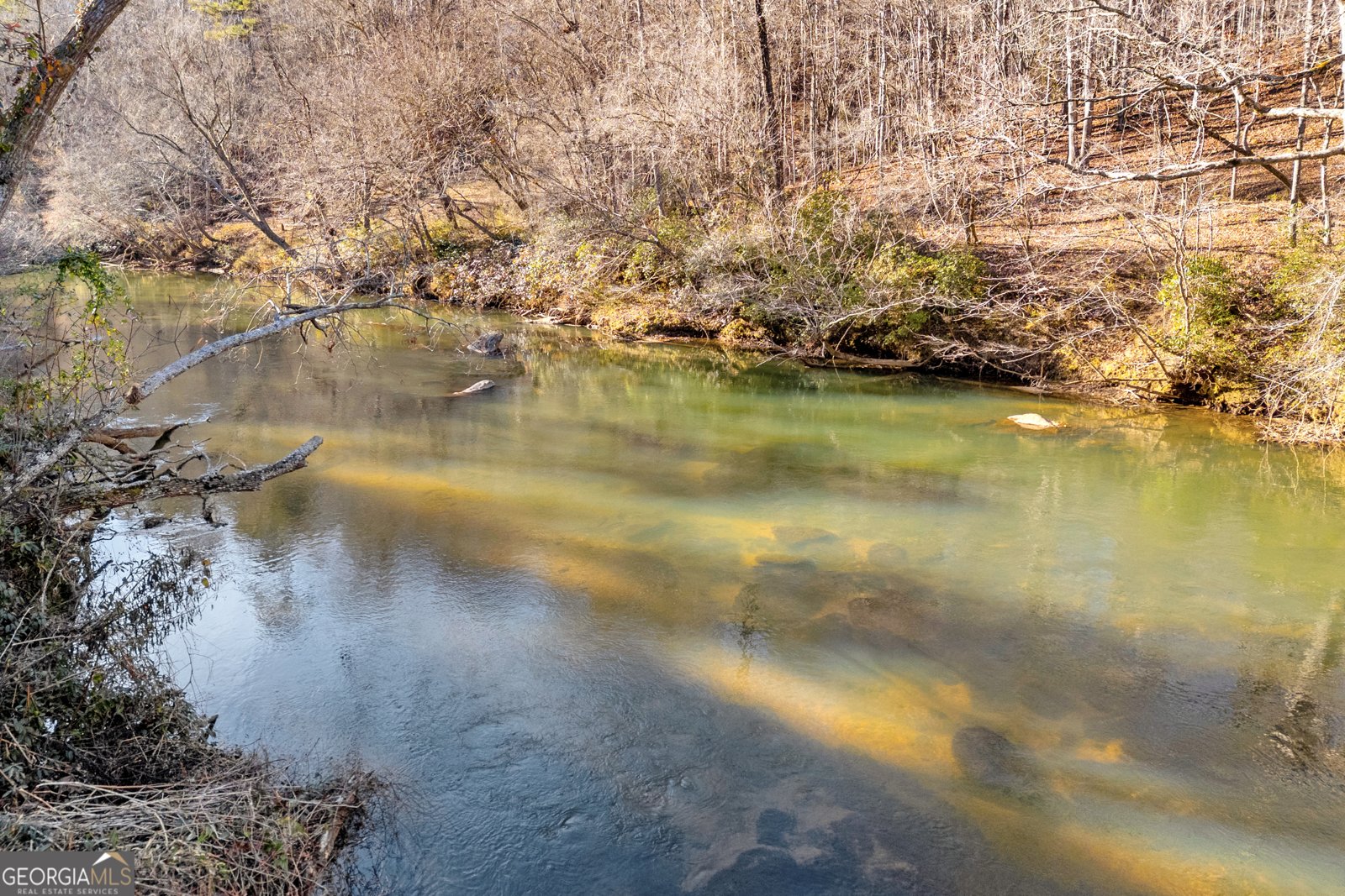 699 Cobblestone Lane Demorest - 76