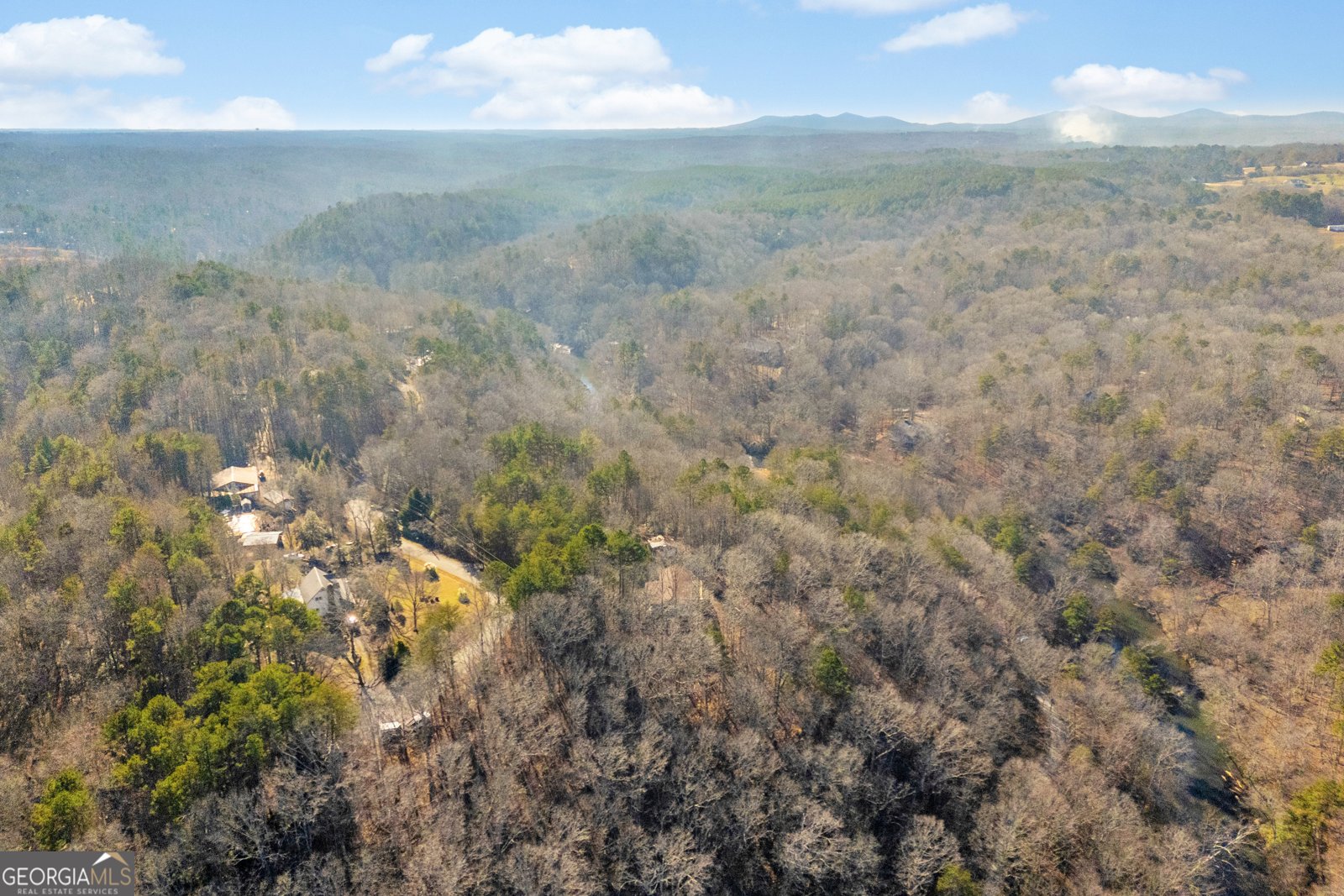 699 Cobblestone Lane Demorest - 78