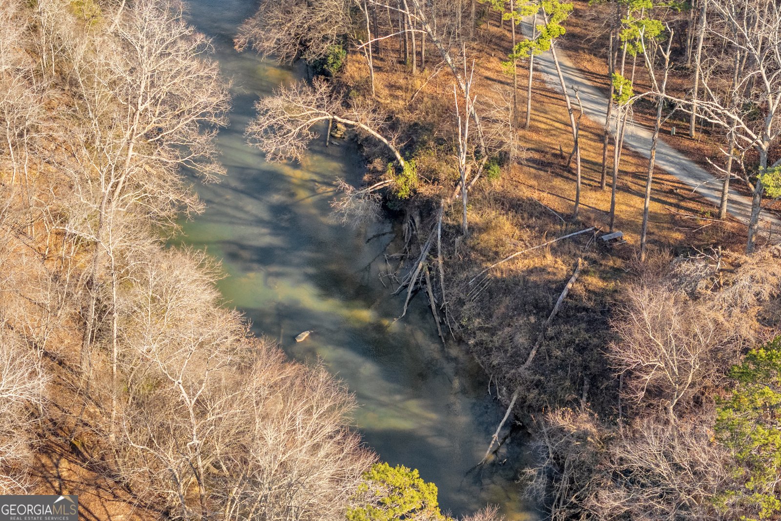 699 Cobblestone Lane Demorest - 79