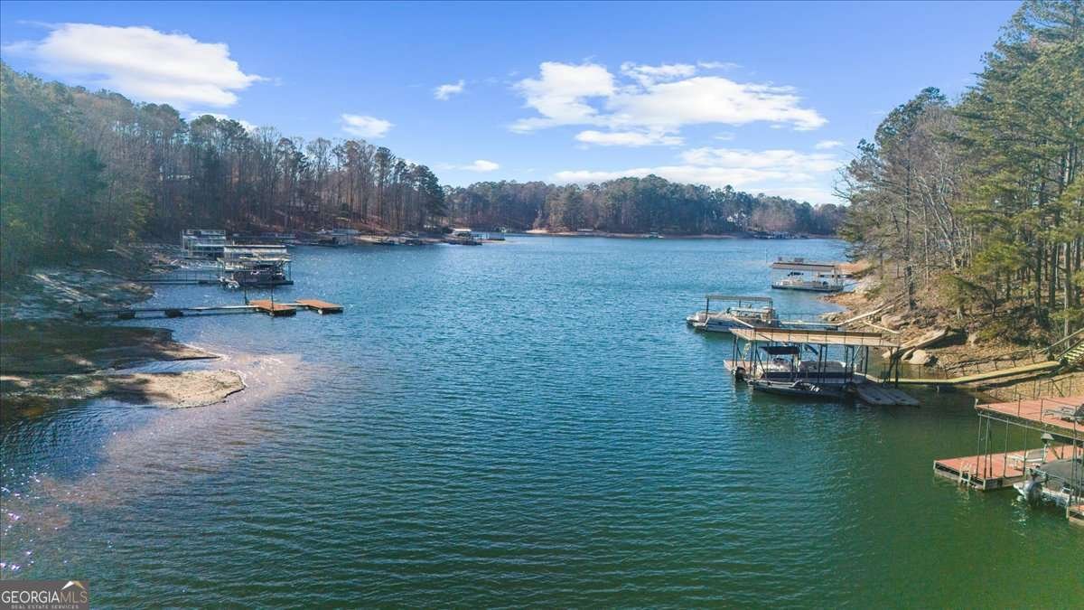 6386 Tuggle Drive Buford - 10