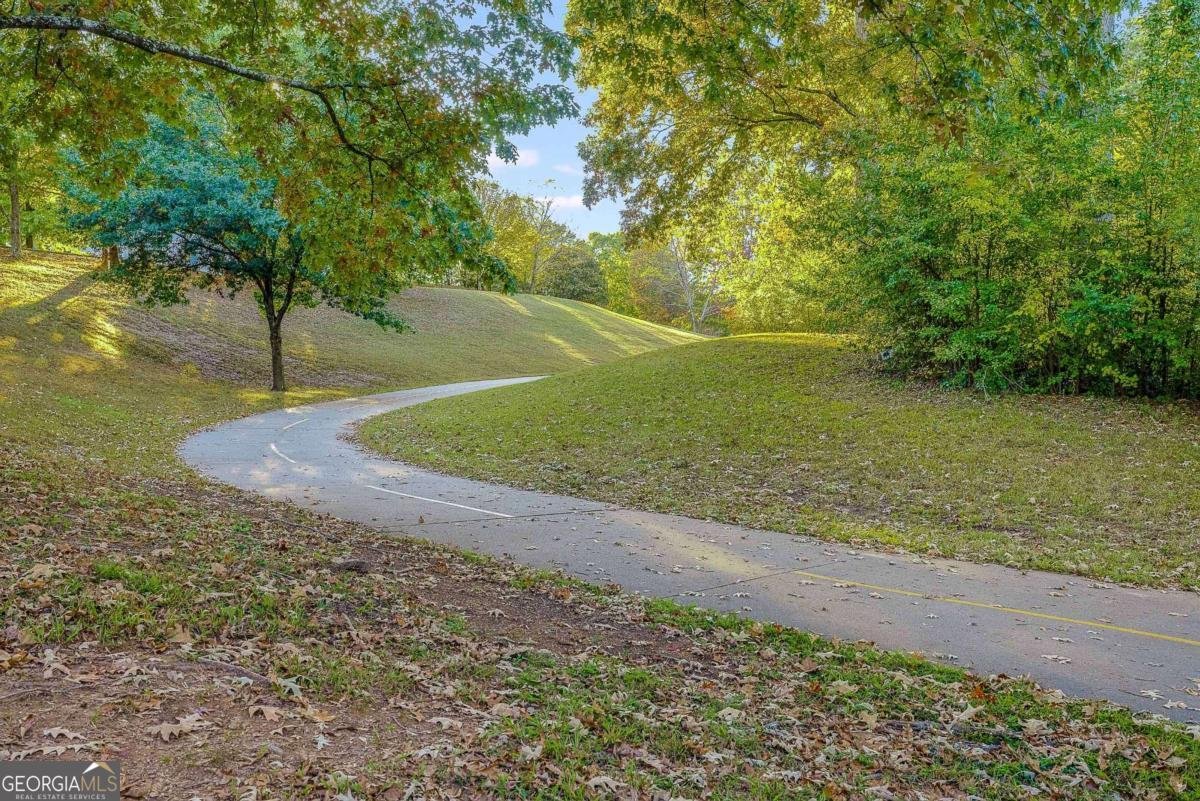 1213 Druid Place Atlanta - 30