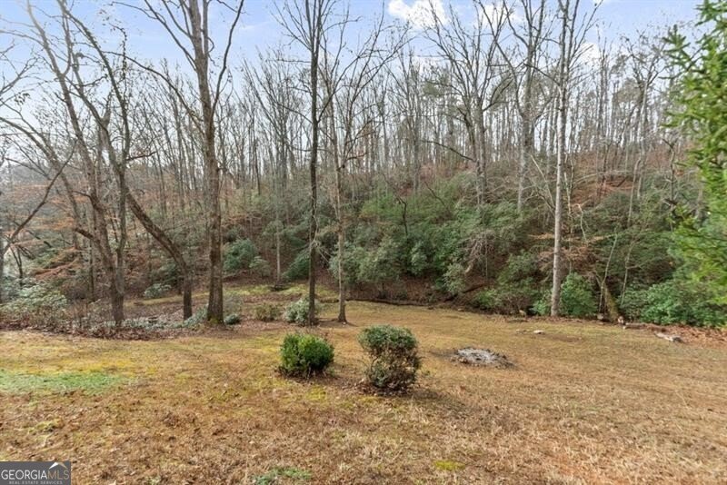 261 Ridgeway Road Dahlonega - Photo 35