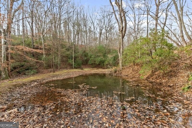 261 Ridgeway Road Dahlonega - Photo 39
