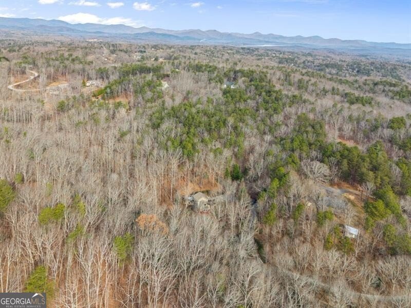 261 Ridgeway Road Dahlonega - Photo 46