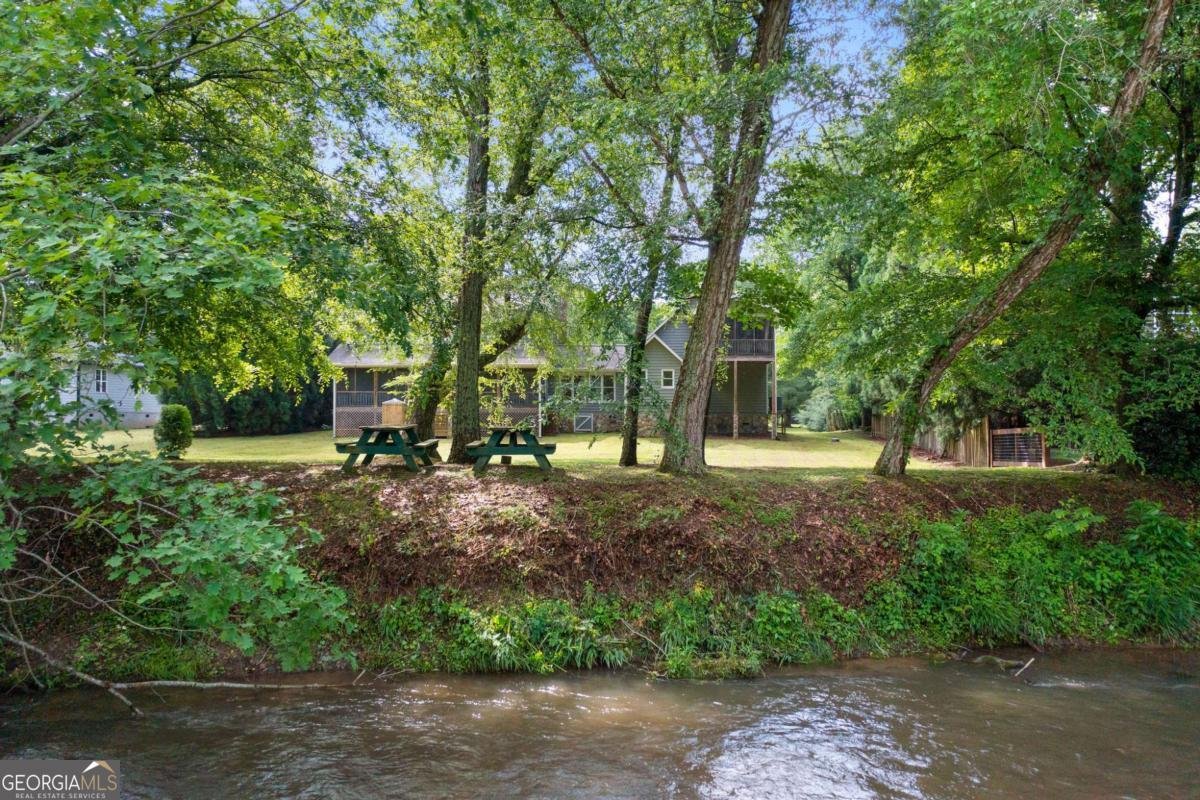 442 Cartecay River Run Ellijay - 49