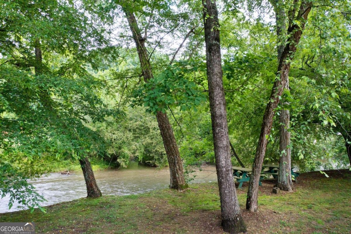 442 Cartecay River Run Ellijay - 50