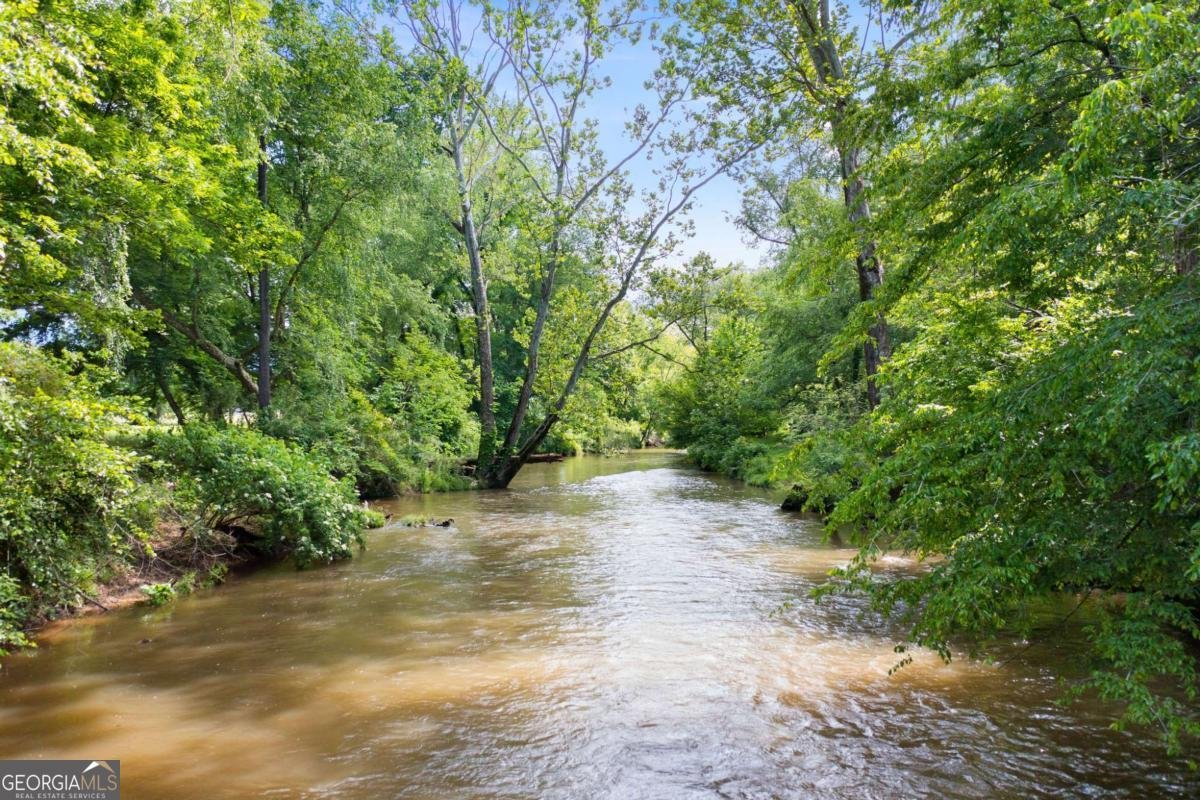 442 Cartecay River Run Ellijay - 51