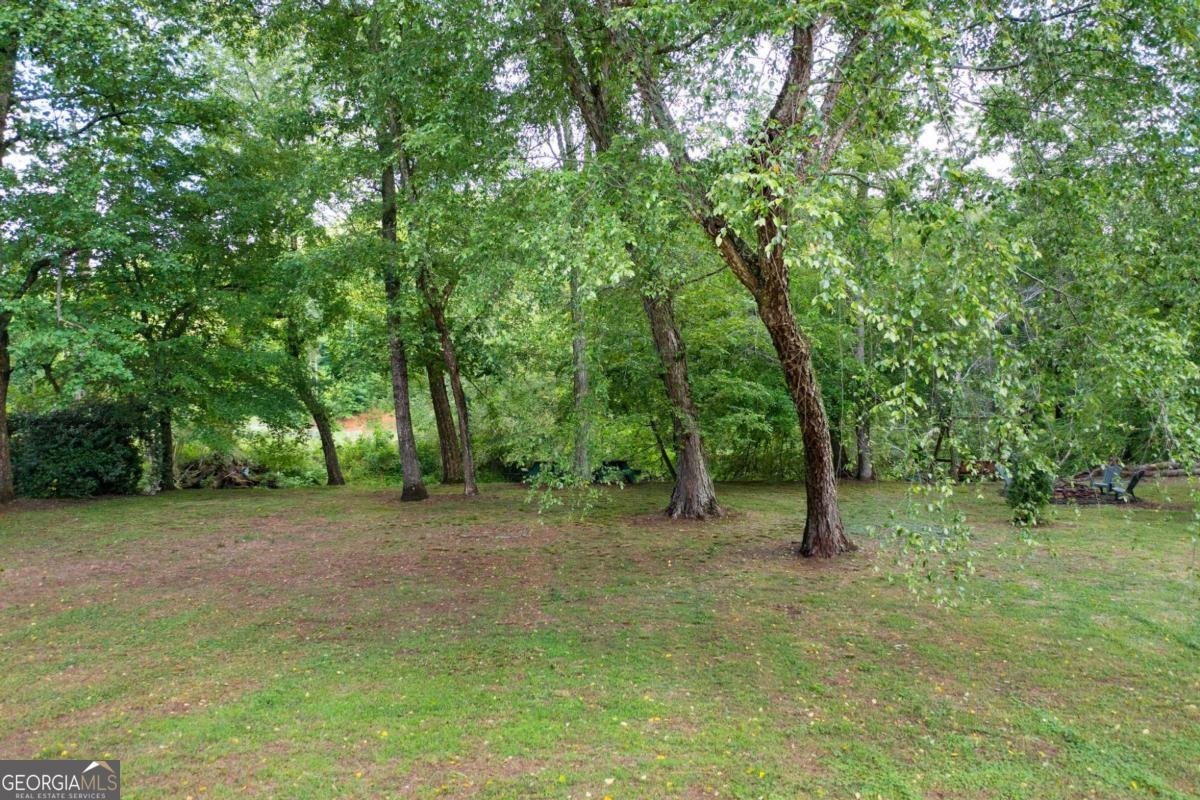 442 Cartecay River Run Ellijay - 52