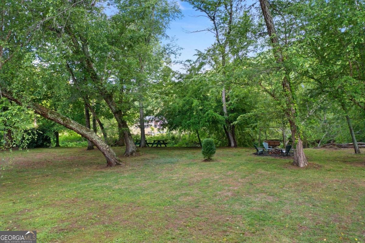 442 Cartecay River Run Ellijay - 53