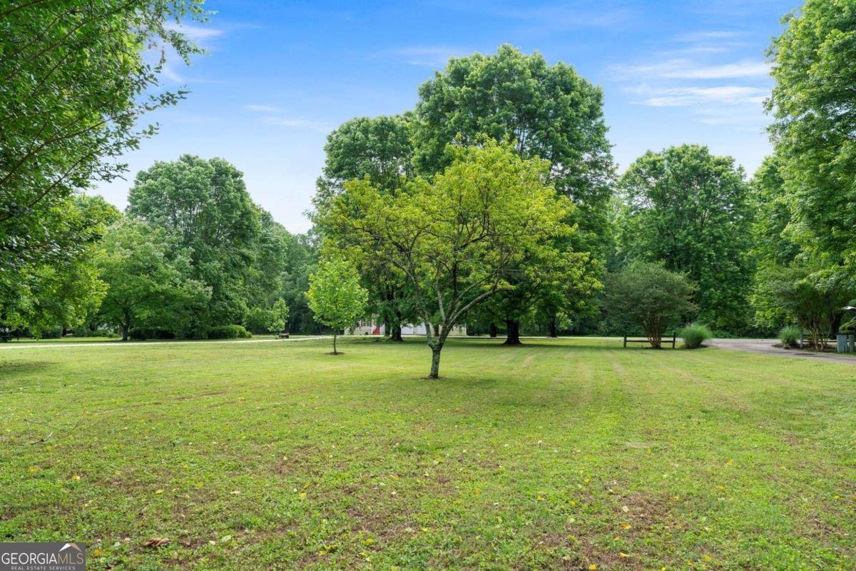 442 Cartecay River Run Ellijay - 54