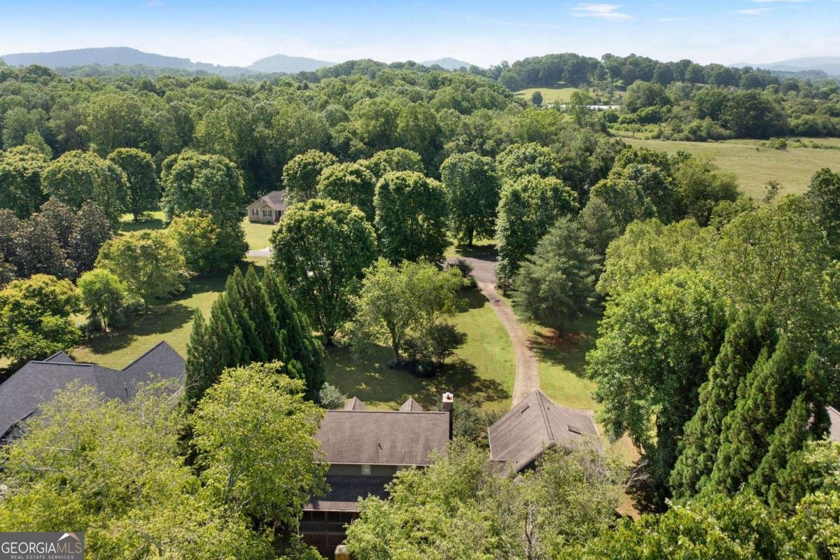 442 Cartecay River Run Ellijay - 58