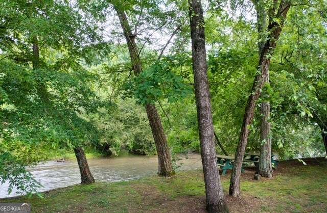 442 Cartecay River Run Ellijay - 63