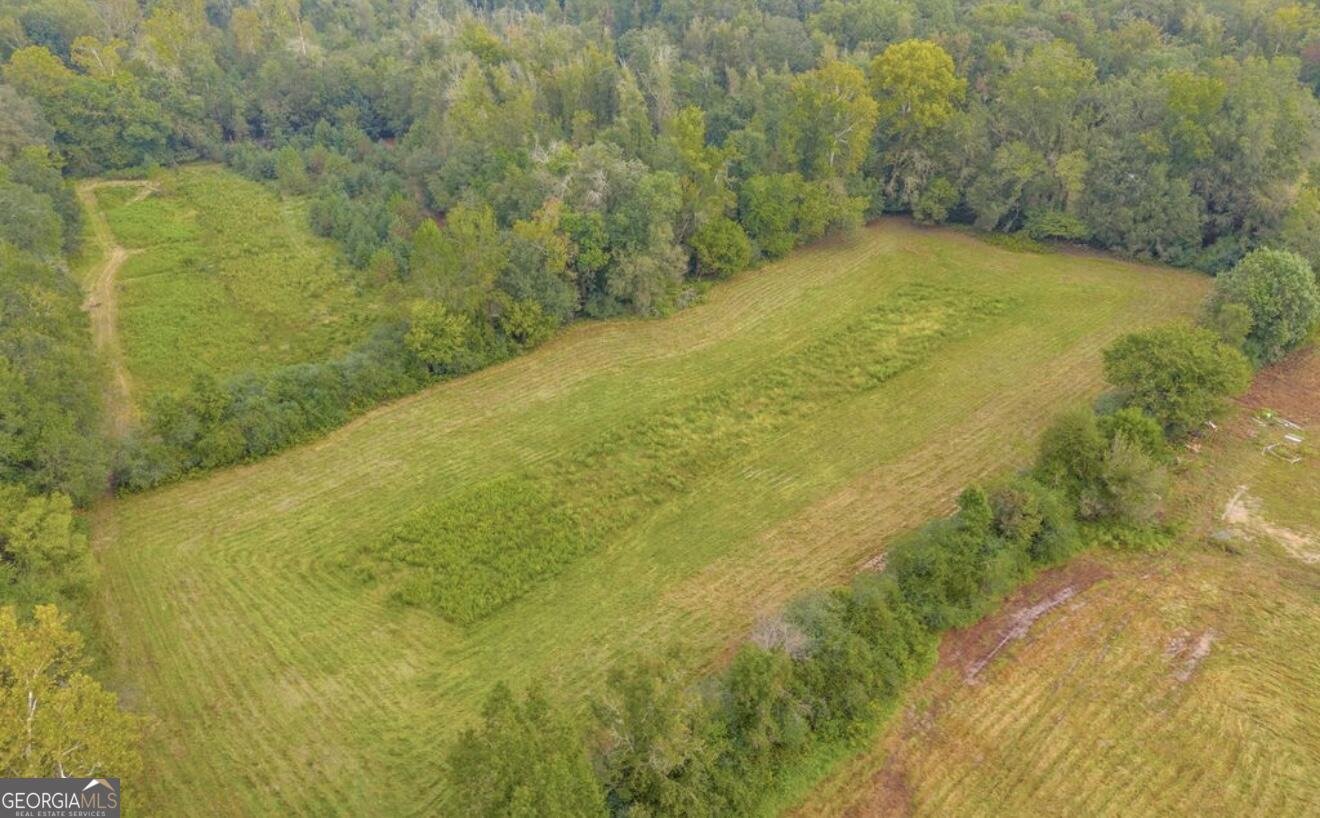 1300 Idle Acres Lane Lavonia - 15