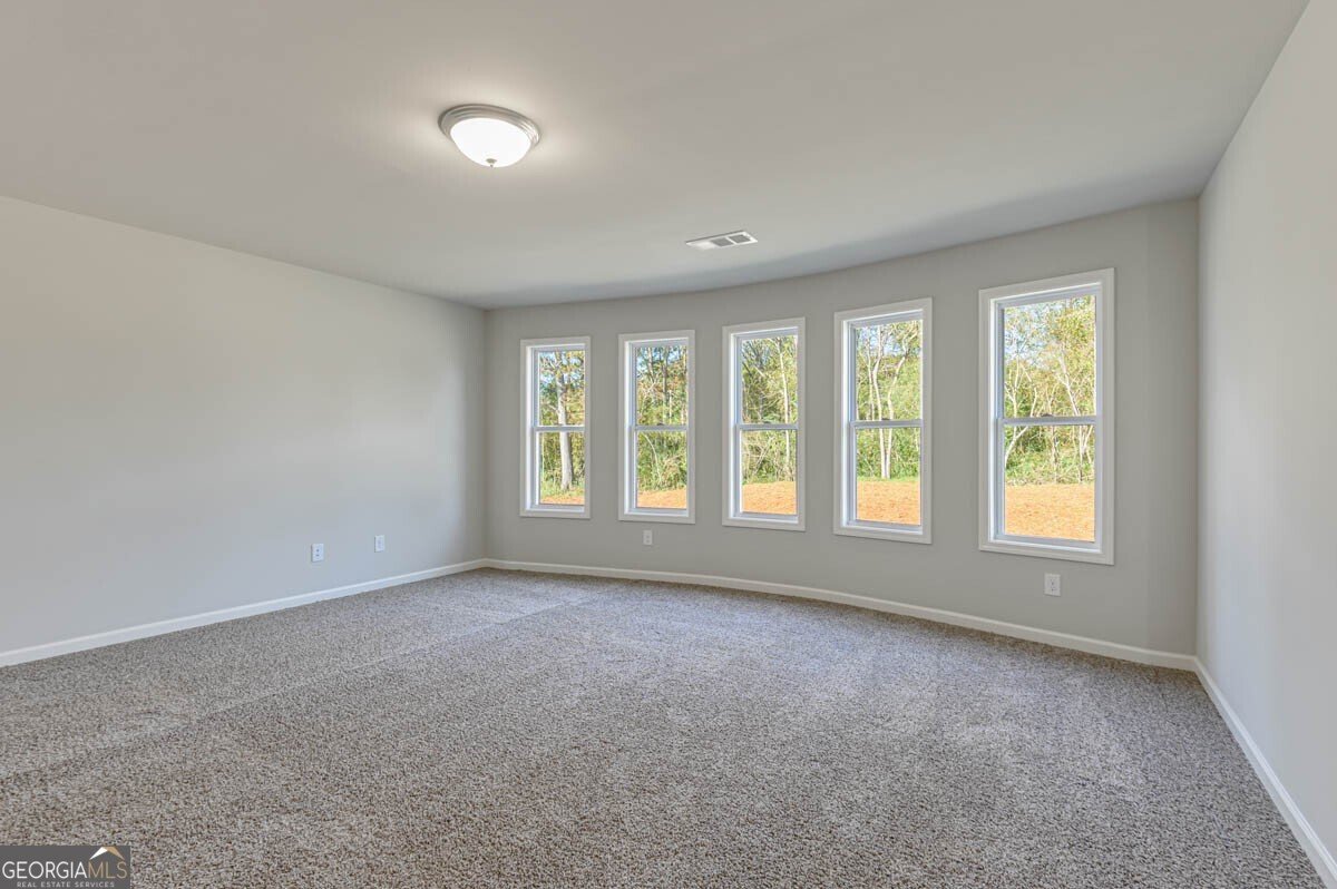 5010 Thalley Creek Drive Cumming - 28