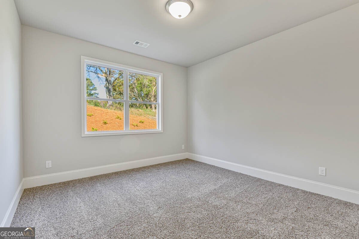 5010 Thalley Creek Drive Cumming - 8